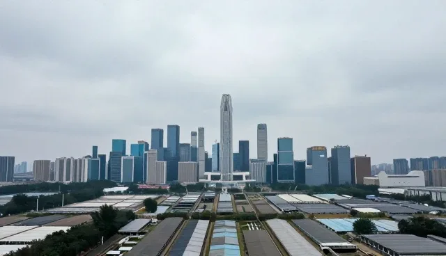 信息查询平台性能分析，分类标准如何影响系统效率